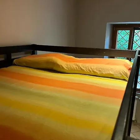 Lemon Tree House Apartament *